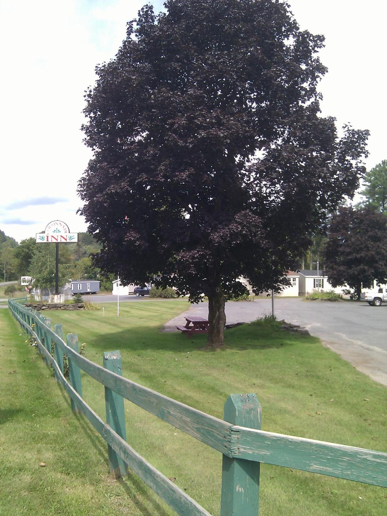 Colonnade Inn Lyndonville Exteriér fotografie